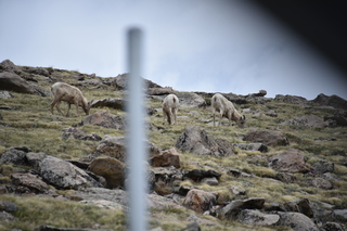 Filename=DSC_7376.JPG
Filesize=16718KiB
Dimensions=7360x4912
Date added=Sep 19, 2019 DSC_7376.JPG