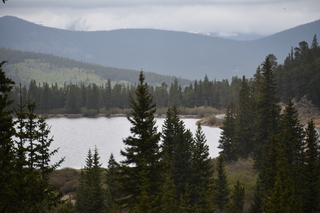 Filename=DSC_7388.JPG
Filesize=16395KiB
Dimensions=7360x4912
Date added=Sep 19, 2019 DSC_7388.JPG