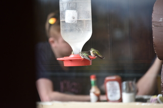 Filename=DSC_7399.JPG
Filesize=15096KiB
Dimensions=7360x4912
Date added=Sep 19, 2019 DSC_7399.JPG