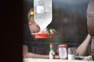 Filename=DSC_7402.JPG
Filesize=15532KiB
Dimensions=7360x4912
Date added=Sep 19, 2019 DSC_7402.JPG