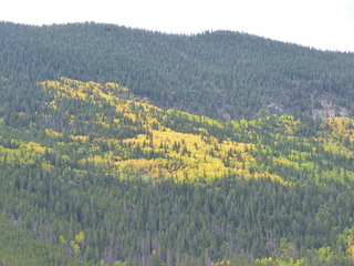 Filename=P1050399.JPG
Filesize=5633KiB
Dimensions=4320x3240
Date added=Sep 18, 2019 P1050399.JPG