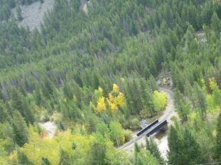 Filename=P1050402.JPG
Filesize=5376KiB
Dimensions=4320x3240
Date added=Sep 18, 2019 P1050402.JPG