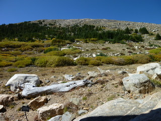 Filename=P1050438.JPG
Filesize=5675KiB
Dimensions=4320x3240
Date added=Sep 18, 2019 P1050438.JPG