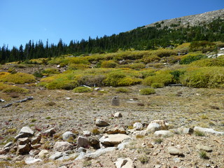 Filename=P1050439.JPG
Filesize=5355KiB
Dimensions=4320x3240
Date added=Sep 18, 2019 P1050439.JPG