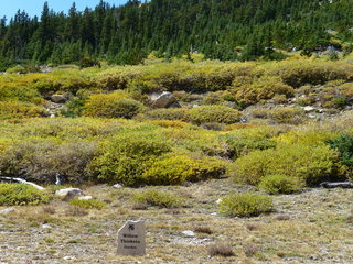 Filename=P1050440.JPG
Filesize=5753KiB
Dimensions=4320x3240
Date added=Sep 18, 2019 P1050440.JPG