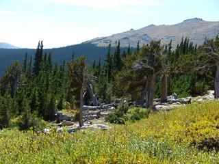 Filename=P1050442.JPG
Filesize=5713KiB
Dimensions=4320x3240
Date added=Sep 18, 2019 P1050442.JPG