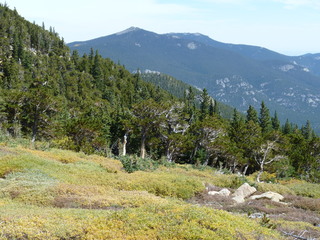 Filename=P1050444.JPG
Filesize=5673KiB
Dimensions=4320x3240
Date added=Sep 18, 2019 P1050444.JPG