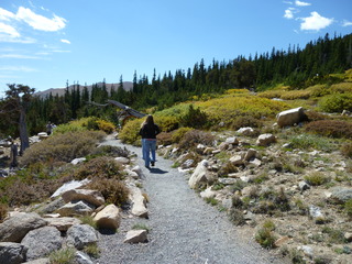 Filename=P1050447.JPG
Filesize=5539KiB
Dimensions=4320x3240
Date added=Sep 18, 2019 P1050447.JPG