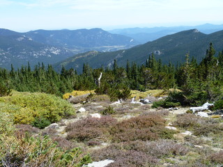 Filename=P1050451.JPG
Filesize=5613KiB
Dimensions=4320x3240
Date added=Sep 18, 2019 P1050451.JPG