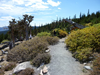 Filename=P1050452.JPG
Filesize=5466KiB
Dimensions=4320x3240
Date added=Sep 18, 2019 P1050452.JPG