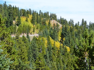 Filename=P1050463.JPG
Filesize=6122KiB
Dimensions=4320x3240
Date added=Sep 18, 2019 P1050463.JPG