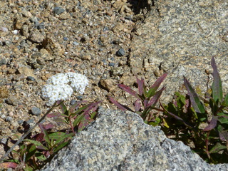 Filename=P1050475.JPG
Filesize=5510KiB
Dimensions=4320x3240
Date added=Sep 18, 2019 P1050475.JPG