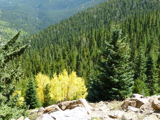 Filename=P1050477.JPG
Filesize=5671KiB
Dimensions=4320x3240
Date added=Sep 18, 2019 P1050477.JPG