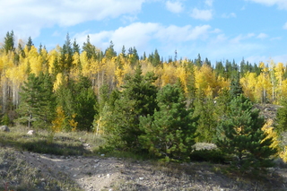 Filename=P1050510.JPG
Filesize=4938KiB
Dimensions=4320x2880
Date added=Sep 18, 2019 P1050510.JPG