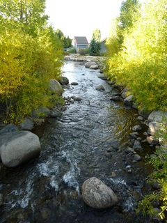 Filename=P1050526.JPG
Filesize=4655KiB
Dimensions=3240x4320
Date added=Sep 18, 2019 P1050526.JPG