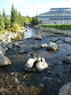 Filename=P1050530.JPG
Filesize=5086KiB
Dimensions=3240x4320
Date added=Sep 18, 2019 P1050530.JPG