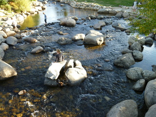 Filename=P1050531.JPG
Filesize=5860KiB
Dimensions=4320x3240
Date added=Sep 18, 2019 P1050531.JPG