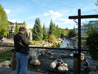 Filename=P1050539.JPG
Filesize=5867KiB
Dimensions=4320x3240
Date added=Sep 18, 2019 P1050539.JPG