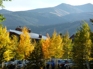 Filename=P1050542.JPG
Filesize=5923KiB
Dimensions=4320x3240
Date added=Sep 18, 2019 P1050542.JPG