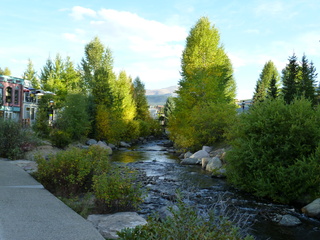 Filename=P1050545.JPG
Filesize=5784KiB
Dimensions=4320x3240
Date added=Sep 18, 2019 P1050545.JPG