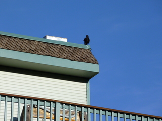 Filename=P1050550.JPG
Filesize=5462KiB
Dimensions=4320x3240
Date added=Sep 18, 2019 P1050550.JPG