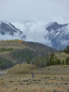 Filename=P1050560.JPG
Filesize=5025KiB
Dimensions=3240x4320
Date added=Sep 18, 2019 P1050560.JPG