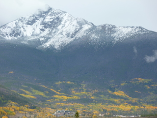 Filename=P1050586.JPG
Filesize=5504KiB
Dimensions=4320x3240
Date added=Sep 18, 2019 P1050586.JPG