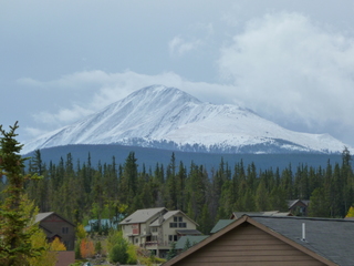 Filename=P1050592.JPG
Filesize=5664KiB
Dimensions=4320x3240
Date added=Sep 18, 2019 P1050592.JPG