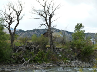 Filename=P1050594.JPG
Filesize=5940KiB
Dimensions=4320x3240
Date added=Sep 18, 2019 P1050594.JPG