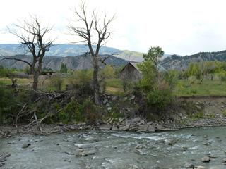 Filename=P1050597.JPG
Filesize=5759KiB
Dimensions=4320x3240
Date added=Sep 18, 2019 P1050597.JPG