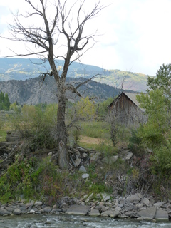 Filename=P1050598.JPG
Filesize=5036KiB
Dimensions=3240x4320
Date added=Sep 18, 2019 P1050598.JPG