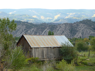 Filename=P1050601.JPG
Filesize=5421KiB
Dimensions=4320x3240
Date added=Sep 18, 2019 P1050601.JPG