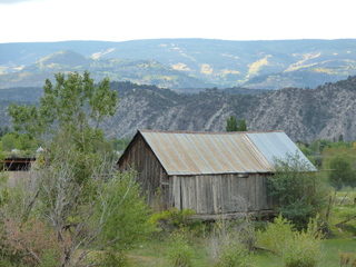 Filename=P1050602.JPG
Filesize=5680KiB
Dimensions=4320x3240
Date added=Sep 18, 2019 P1050602.JPG