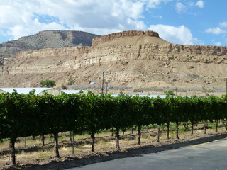 Filename=P1050603.JPG
Filesize=5784KiB
Dimensions=4320x3240
Date added=Sep 18, 2019 P1050603.JPG