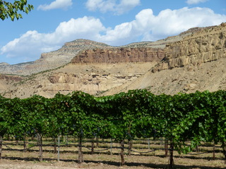 Filename=P1050607.JPG
Filesize=5508KiB
Dimensions=4320x3240
Date added=Sep 18, 2019 P1050607.JPG