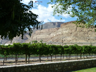 Filename=P1050608.JPG
Filesize=5641KiB
Dimensions=4320x3240
Date added=Sep 18, 2019 P1050608.JPG