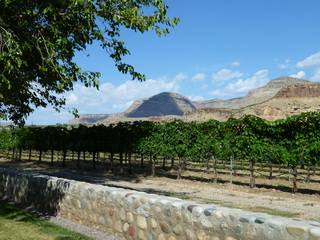 Filename=P1050609.JPG
Filesize=5669KiB
Dimensions=4320x3240
Date added=Sep 18, 2019 P1050609.JPG