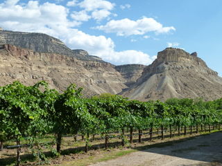 Filename=P1050610.JPG
Filesize=5361KiB
Dimensions=4320x3240
Date added=Sep 18, 2019 P1050610.JPG