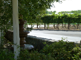 Filename=P1050613.JPG
Filesize=6081KiB
Dimensions=4320x3240
Date added=Sep 18, 2019 P1050613.JPG