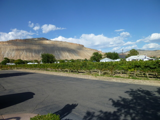 Filename=P1050621.JPG
Filesize=5142KiB
Dimensions=4320x3240
Date added=Sep 18, 2019 P1050621.JPG