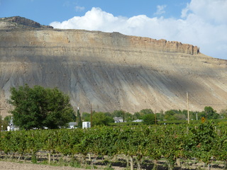 Filename=P1050622.JPG
Filesize=5751KiB
Dimensions=4320x3240
Date added=Sep 18, 2019 P1050622.JPG