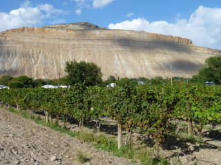 Filename=P1050627.JPG
Filesize=5409KiB
Dimensions=4320x3240
Date added=Sep 18, 2019 P1050627.JPG