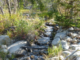 Filename=P1050629.JPG
Filesize=5604KiB
Dimensions=4320x3240
Date added=Sep 18, 2019 P1050629.JPG