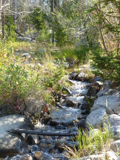 Filename=P1050630.JPG
Filesize=4863KiB
Dimensions=3240x4320
Date added=Sep 18, 2019 P1050630.JPG