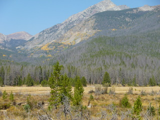 Filename=P1050632.JPG
Filesize=5828KiB
Dimensions=4320x3240
Date added=Sep 18, 2019 P1050632.JPG