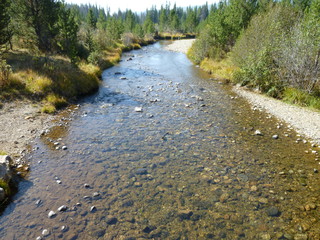 Filename=P1050633.JPG
Filesize=5628KiB
Dimensions=4320x3240
Date added=Sep 18, 2019 P1050633.JPG