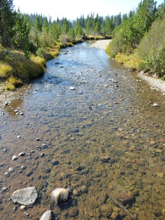 Filename=P1050634.JPG
Filesize=5233KiB
Dimensions=3240x4320
Date added=Sep 18, 2019 P1050634.JPG