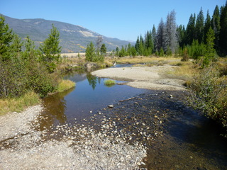 Filename=P1050638.JPG
Filesize=5392KiB
Dimensions=4320x3240
Date added=Sep 18, 2019 P1050638.JPG