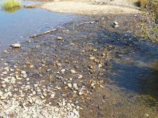 Filename=P1050641.JPG
Filesize=5651KiB
Dimensions=4320x3240
Date added=Sep 18, 2019 P1050641.JPG