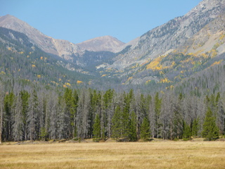 Filename=P1050643.JPG
Filesize=5591KiB
Dimensions=4320x3240
Date added=Sep 18, 2019 P1050643.JPG